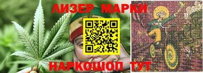 прущие грибы Нарткала