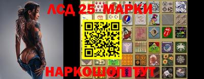 прущие грибы Нарткала