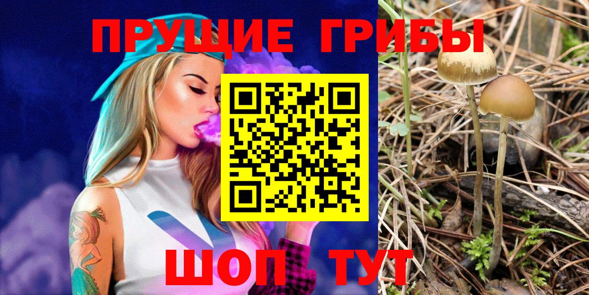 Галлюциногенные грибы GOLDEN TEACHER  Вход с VPN  Сибай  наркотики  Псилоцибиновые грибы MAGIC MUSHROOMS 